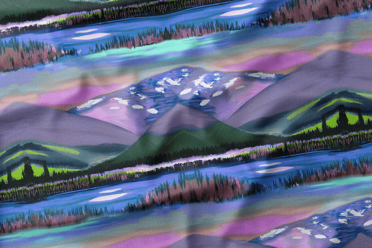 Aurora Landscape