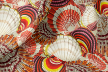 Load image into Gallery viewer, Crimson Scallop Symphony
